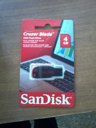 Sandisk 4GB Flash Bellek
